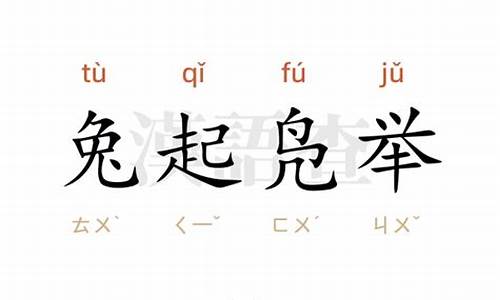 兔起凫举的举意思-兔起凫举打一数字