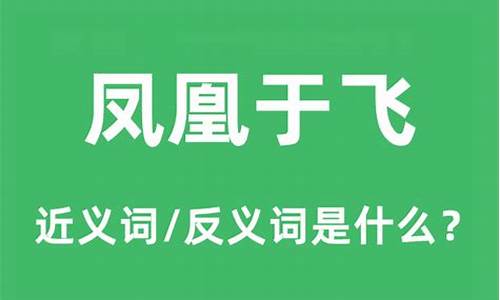 凤凰于飞是什么意思啊北京大兴机场-凤凰于飞是什么意思