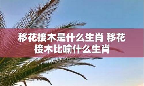 鼠凭社贵典故-鼠凭社贵比喻什么生肖