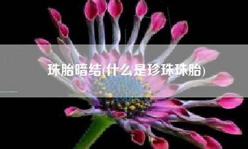 珠胎暗结是什么意思?-珠胎暗结是什么生肖