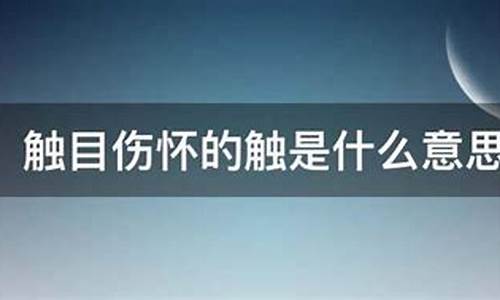 触目伤怀的意思-触目伤怀的意思和读音