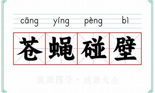 苍蝇碰壁打一动物-苍蝇碰壁打一正确生肖